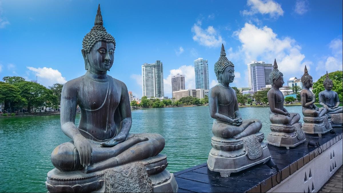 CEYLON CLASSIC TOUR - 3 Nights/4 Days  4
