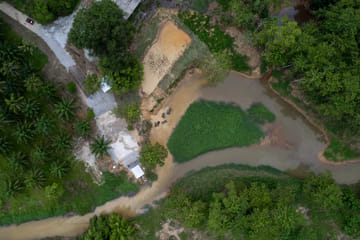 Khaolak: Phang Nga Ethical Elephant Sanctuary Day Trip