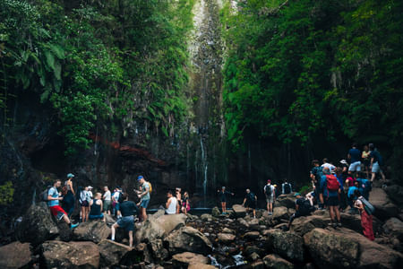 Transfer Self-Guided Hike 25 Fontes & Risco Levada