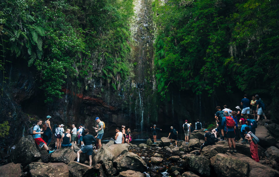 Hiking Tour of 25 Fontes and Risco Levada in Madeira