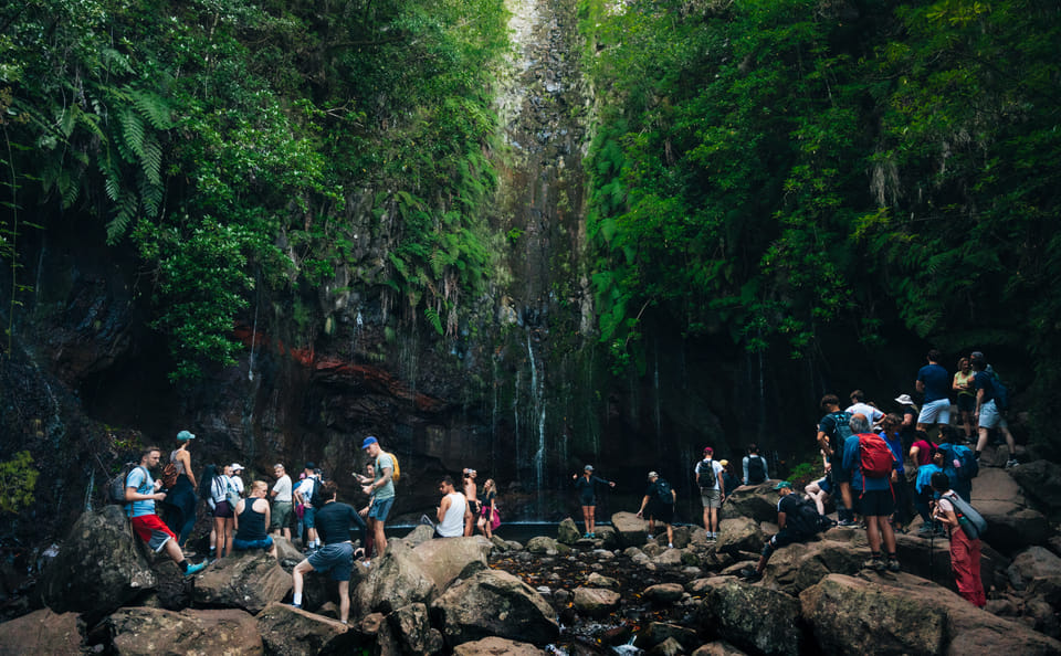 Hiking Tour of 25 Fontes and Risco Levada in Madeira