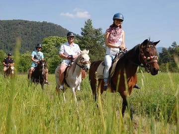 Horse Safari