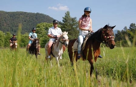Horseback Riding Adventure from Kuşadası Port for Cruise Guests