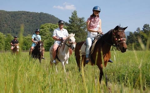 Horseback Riding Adventure from Kuşadası Port for Cruise Guests