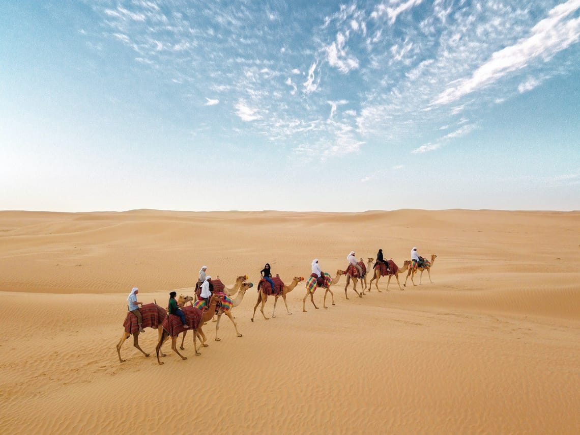 Dubai Morning Heritage Falconry & Nature Safari 7