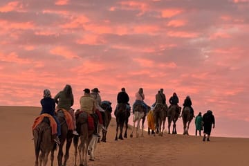 Quad Biking and Camel Riding with Dinner in Agafay Desert