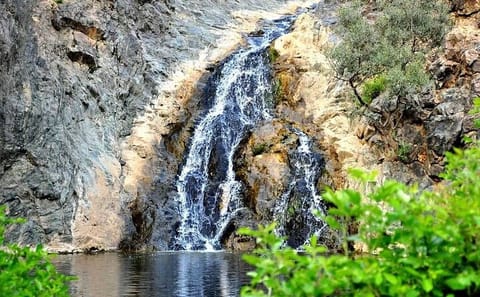 6-Day Private Tour of Saudi Highlands: Jeddah to Abha