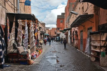 Marrakech City Tour with Licensed Guide and Berber Pharmacy Visit