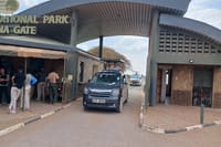 Two Days Guided Amboseli Tour 6