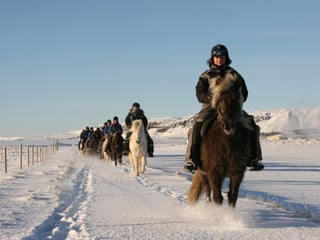 02D - Midwinter Warmth, photo 6