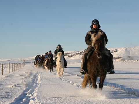02D - Midwinter Warmth, photo 6