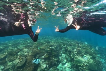 Snorkeling Tour in Motobu: Explore Okinawa's Underwater Beauty