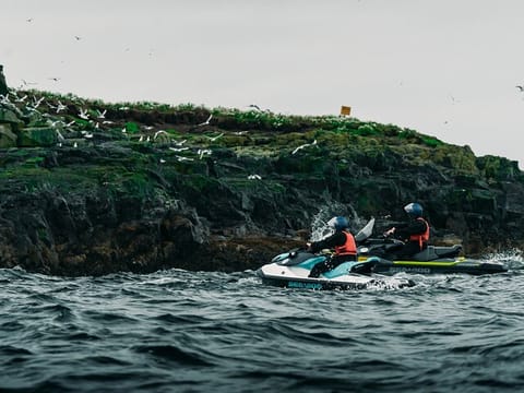 Puffin Jet ski tour in Reykjavík, photo 5