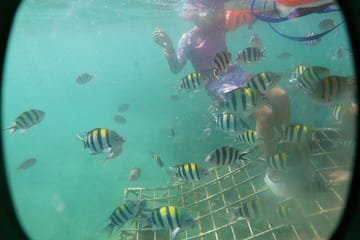 Private Wooden Raft Tour to Gili Kedis from Lombok