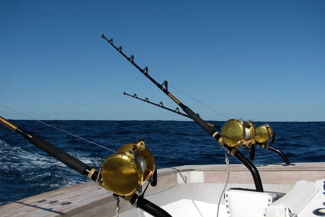 Big Game Fishing Full-Day Tour photo 6