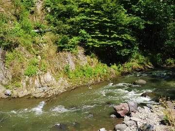 Epic Georgia Journey: 12 Days of Exploration & Charm