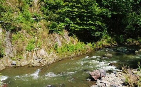 Wellness Tour in Akhaltsikhe, Aspindza, and Bakuriani
