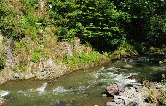 Georgia Wellness Escape: 8 Days/7 Nights Package