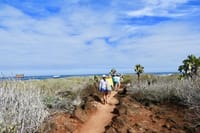 Galapagos Landscape