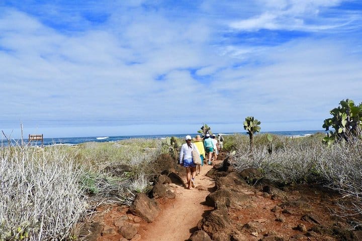 Galapagos Landscape
