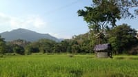  From Anuradhapura: Habarana Adventure Day Tour 9
