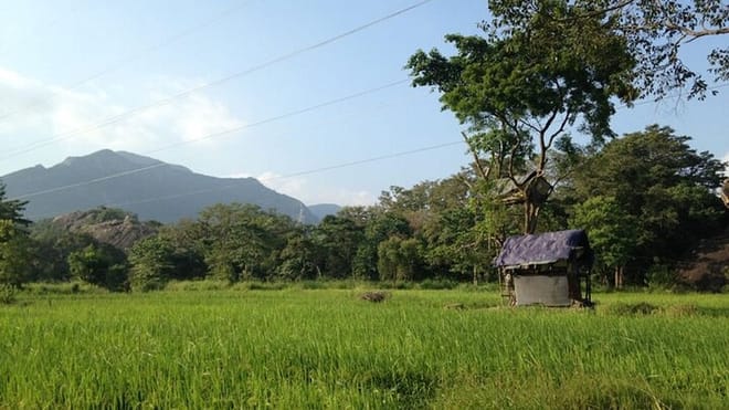  From Anuradhapura: Habarana Adventure Day Tour 9