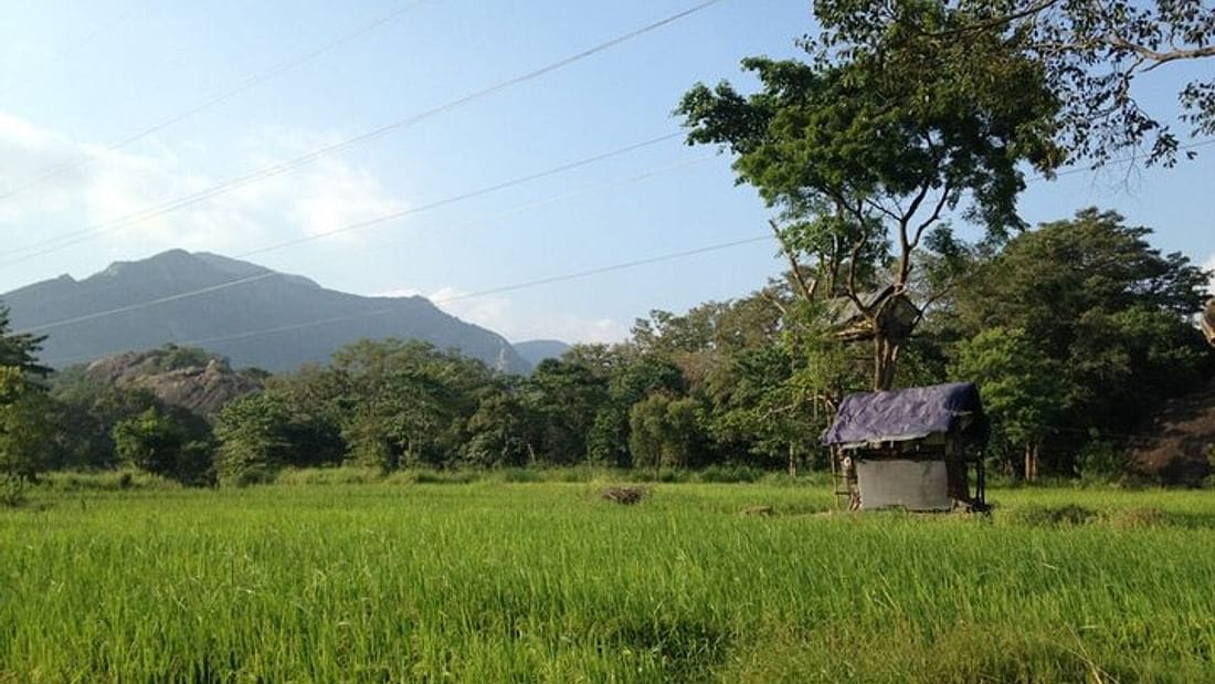  From Anuradhapura: Habarana Adventure Day Tour 9