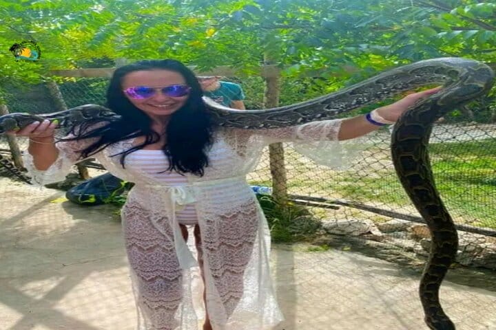 Nungwi Village Tour, Kilosa Zoo and Swim with Turtles Baraka 8