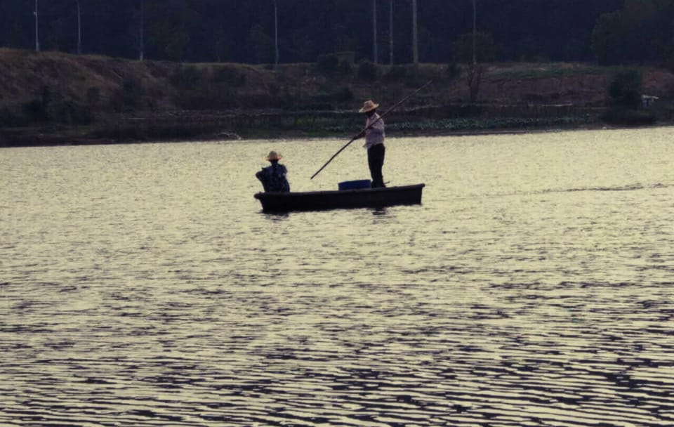 Cycling Tour of East Lake and Gardens in Wuhan