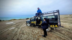 Full Day Tour to Punta Ninfas from Puerto Madryn