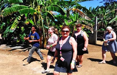 Coxen Hole Nature and City Tour with Beach Break