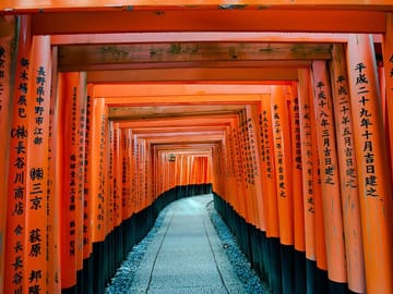 Kyoto Highlights Private Tour with Pick and Drop