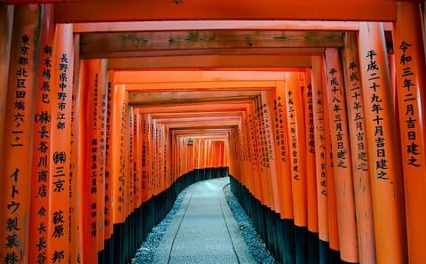 Kyoto Highlights Private Tour with Pick and Drop