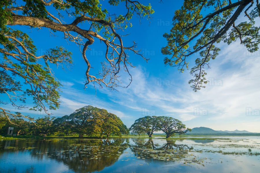 07 Day Nature & Wildlife Tour  In Sri Lanka 9