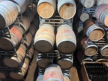 Full Day Wine Tasting Tour in Stellenbosch and Paarl