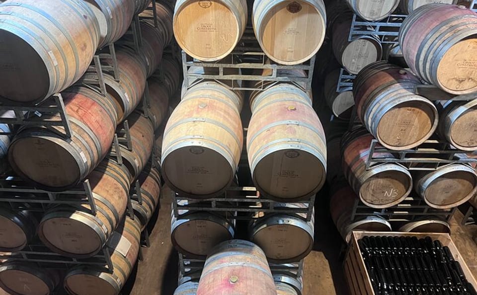 Full Day Wine Tasting Tour in Stellenbosch and Paarl