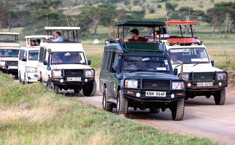 Lake Nakuru Wildlife Adventure Day Trip from Nairobi