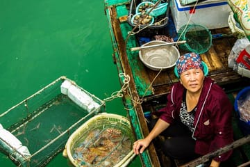 Half-Day Luxury Cruise in Ha Long Bay, Vietnam