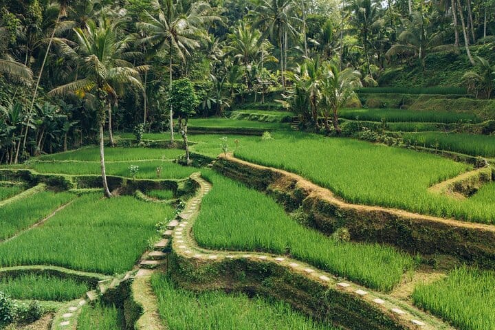 Bali Private Car Full Day Customized Tour With Drone Service