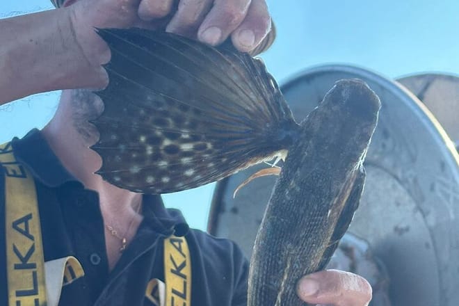 Cefalu: Boat Trip with Fishing, Coastal Tour and Lunch on Board 9