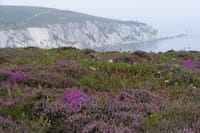 Isle of Wight Full-Day Private Tour from London 9