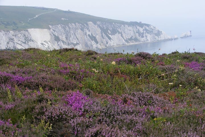 Isle of Wight Full-Day Private Tour from London 9