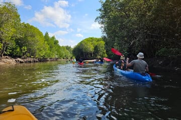 Kayaking or Longtail Boat Tour of Ko Lanta Yai Mangroves