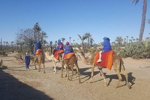camel ride marrakech at the palm grove