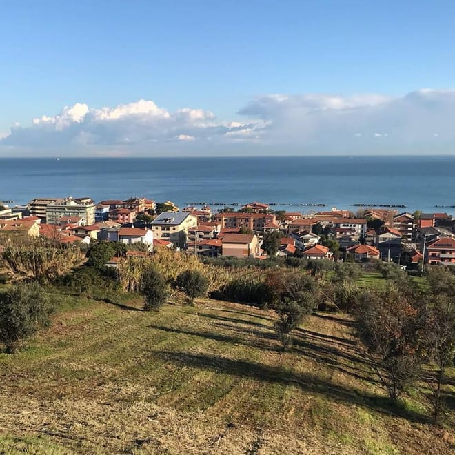 Panoramic view from the Rapino's cellar