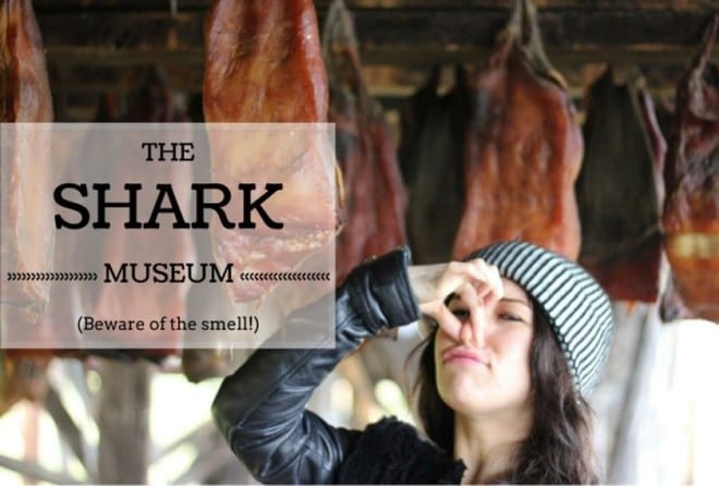Bjarnarhofn shark museum