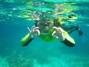 Porto Torres: snorkeling in the Bay of Balai