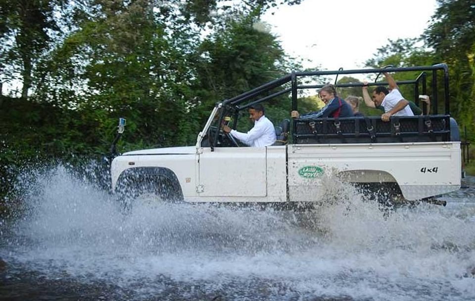 Jeep Tour to Pedra Branca and Tarzan Waterfalls in Cunha