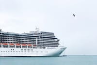 Private transfers to/from Dover Cruise Port and London Luton Airport 6