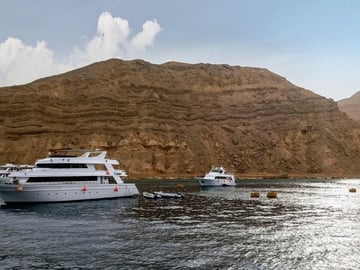 Tiran Island Snorkeling , Diving Cruise & Lunch – Sharm El Sheikh